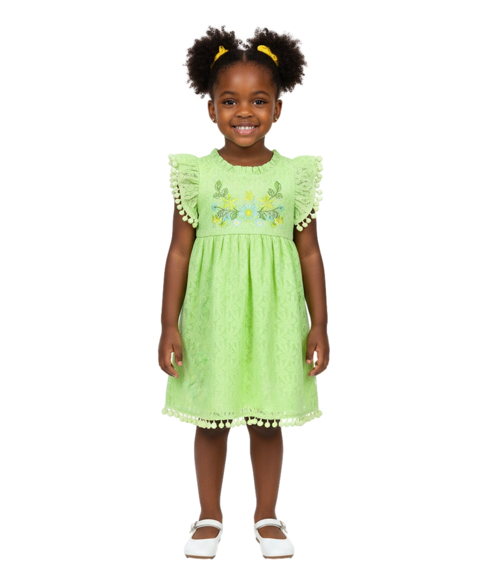 Ultra soft Lace and Pom Pom Embroidered Dress Lime DR2232