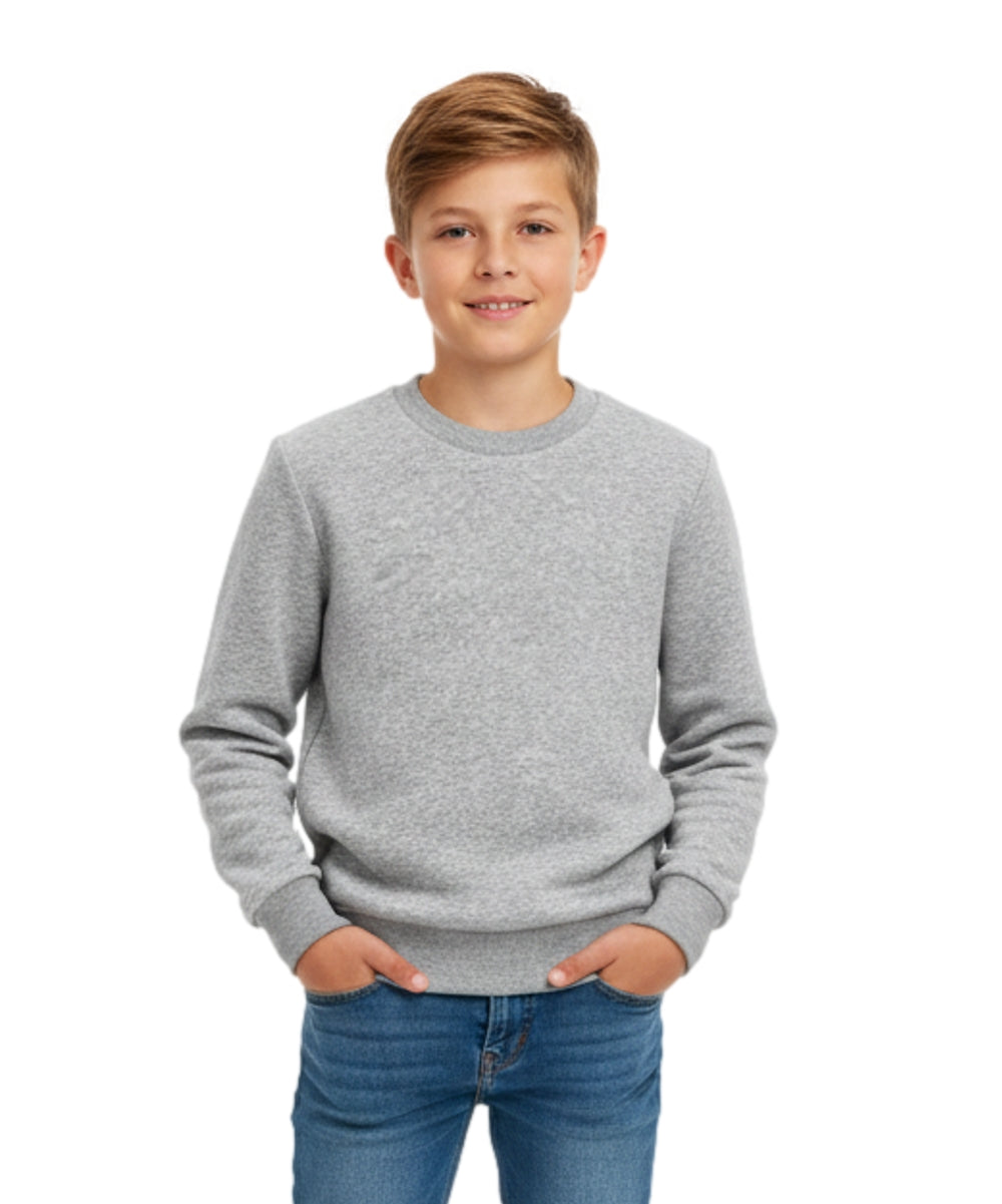Premium Quality Fleece Crewneck Sweater shirts L Grey KP102 2 Pack
